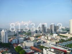 City Square Residences (D8), Condominium #88523972